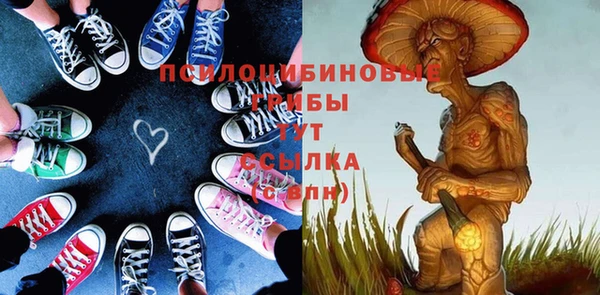 гашик Кодинск