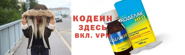 гашик Кодинск