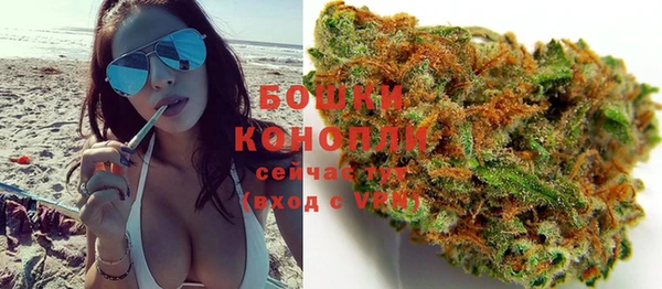 гашик Кодинск