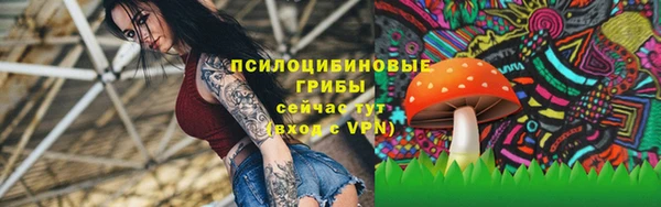 скорость Карталы