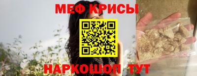дмт Кингисепп