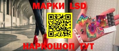 дмт Кингисепп