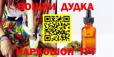 дмт Кингисепп