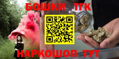 дмт Кингисепп