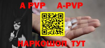 дмт Кингисепп