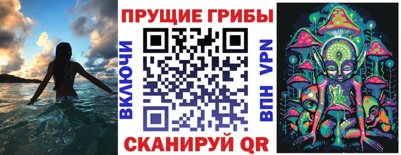 купить наркотик Коркино Галлюциногенные грибы GOLDEN TEACHER