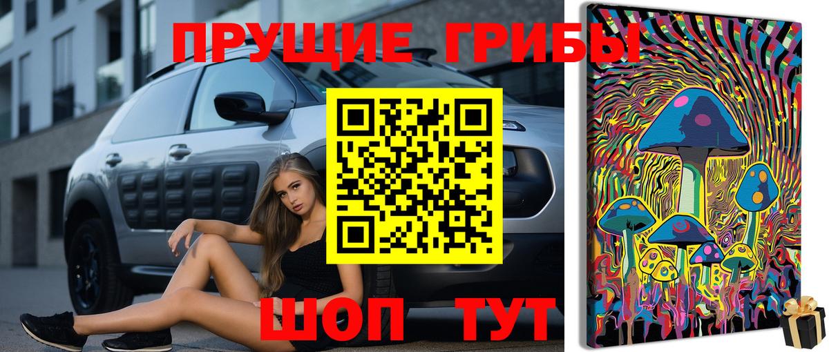 Псилоцибиновые грибы мухоморы Коркино